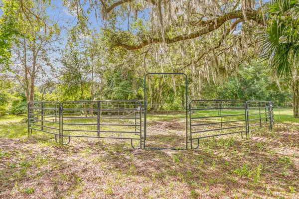 a view of a park with large trees