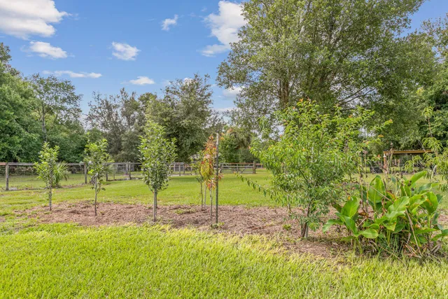 a view of outdoor space