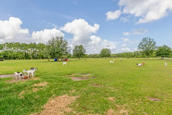 a view of a house with backyard