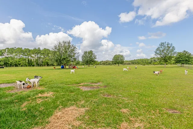 a view of a house with backyard