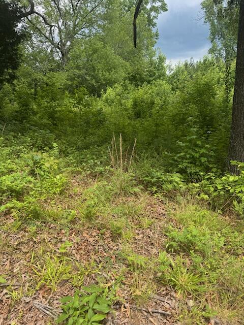 0 Stewart Road Ringgold, GA 30736 - Photo 1 of 3 IMG_5405