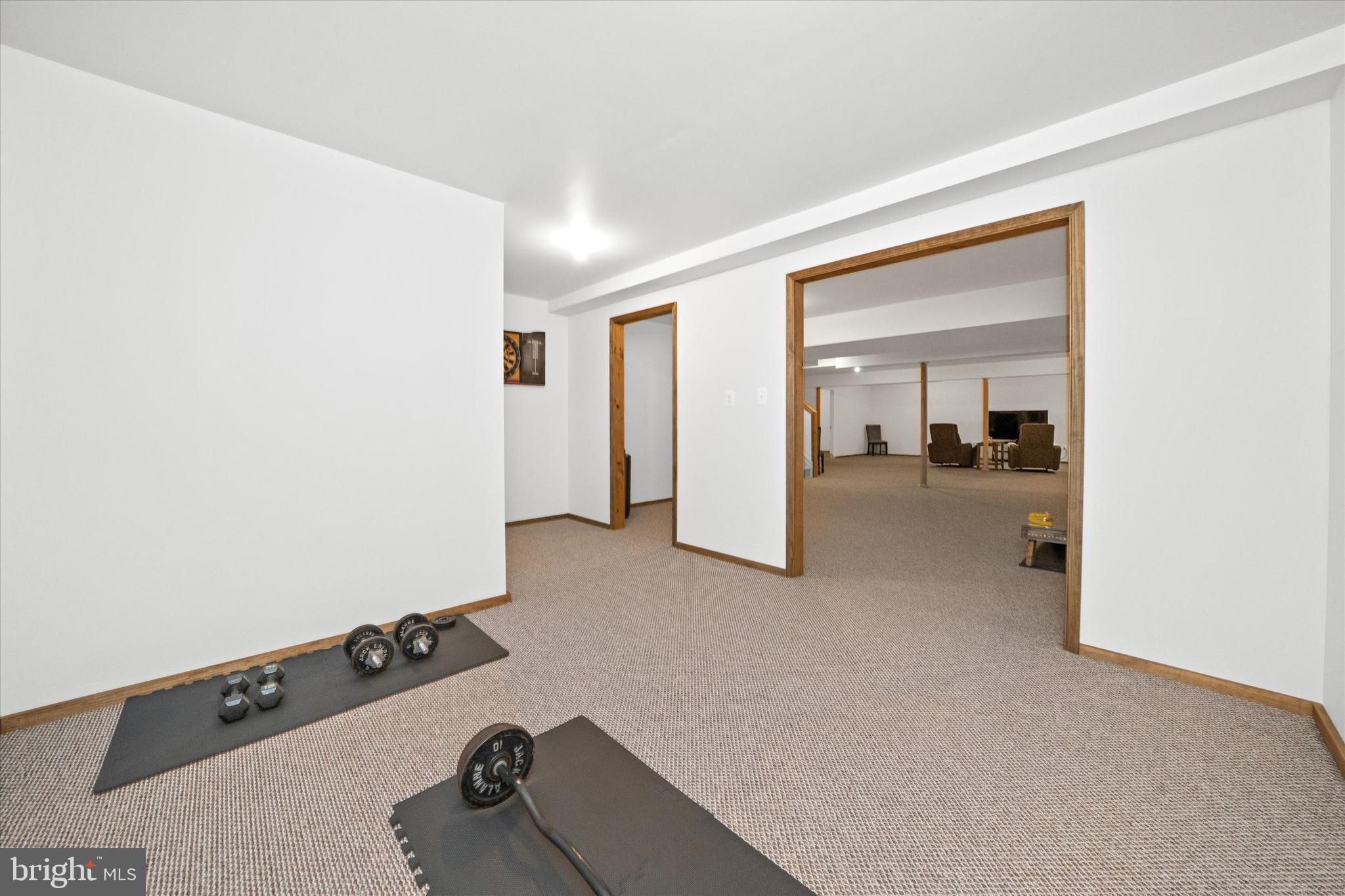 798 Honey Locust Road Middletown, DE 19709 - Photo 22 of 44 Finished Lower Level