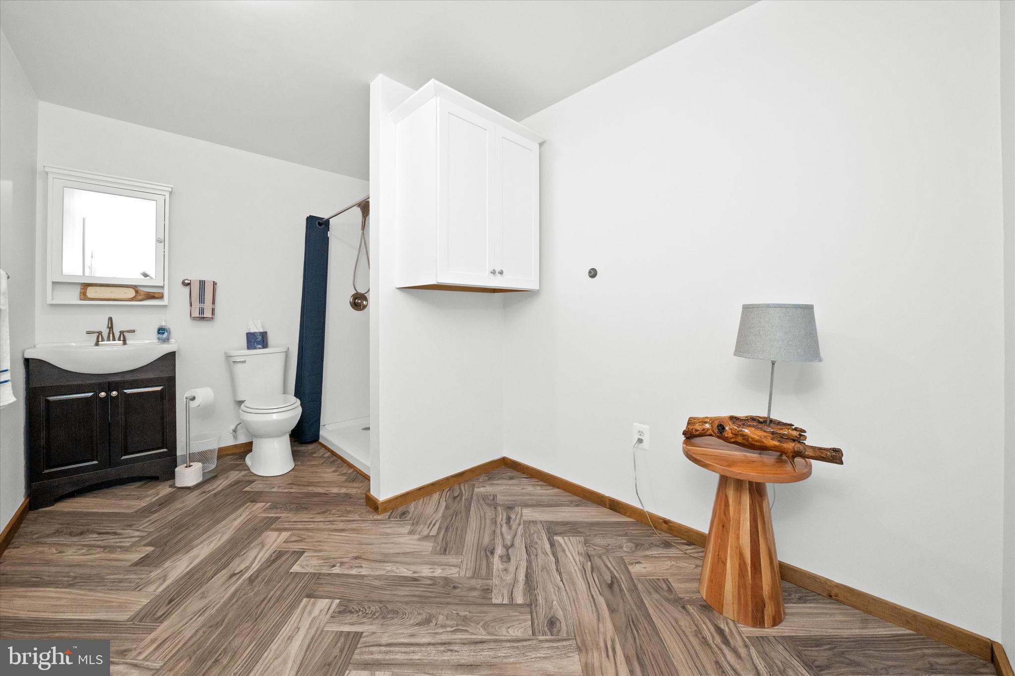 798 Honey Locust Road Middletown, DE 19709 - Photo 24 of 44 Lower Level Bath