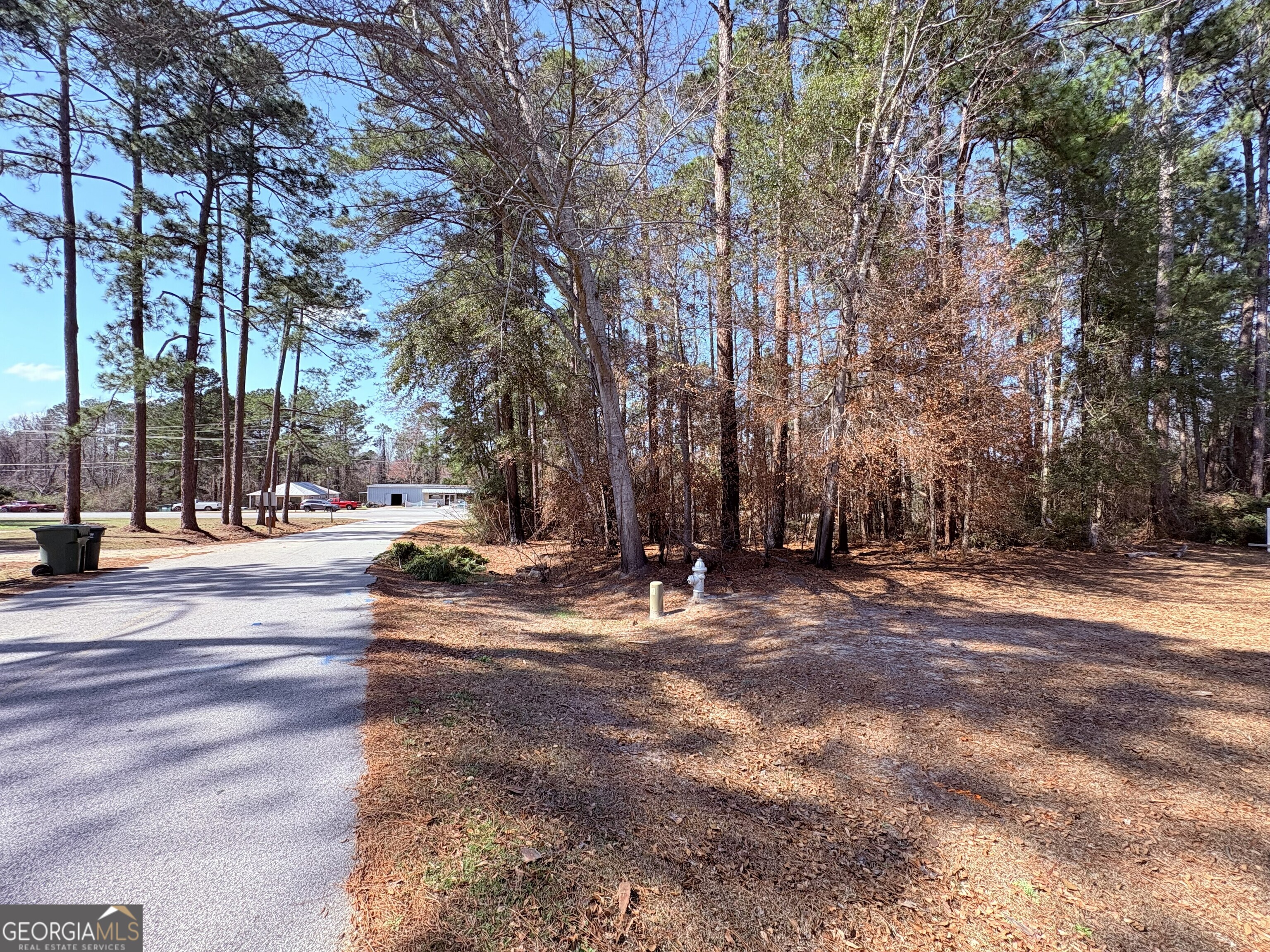 1 Holly Road Sylvania, GA 30467 - Photo 4 of 8