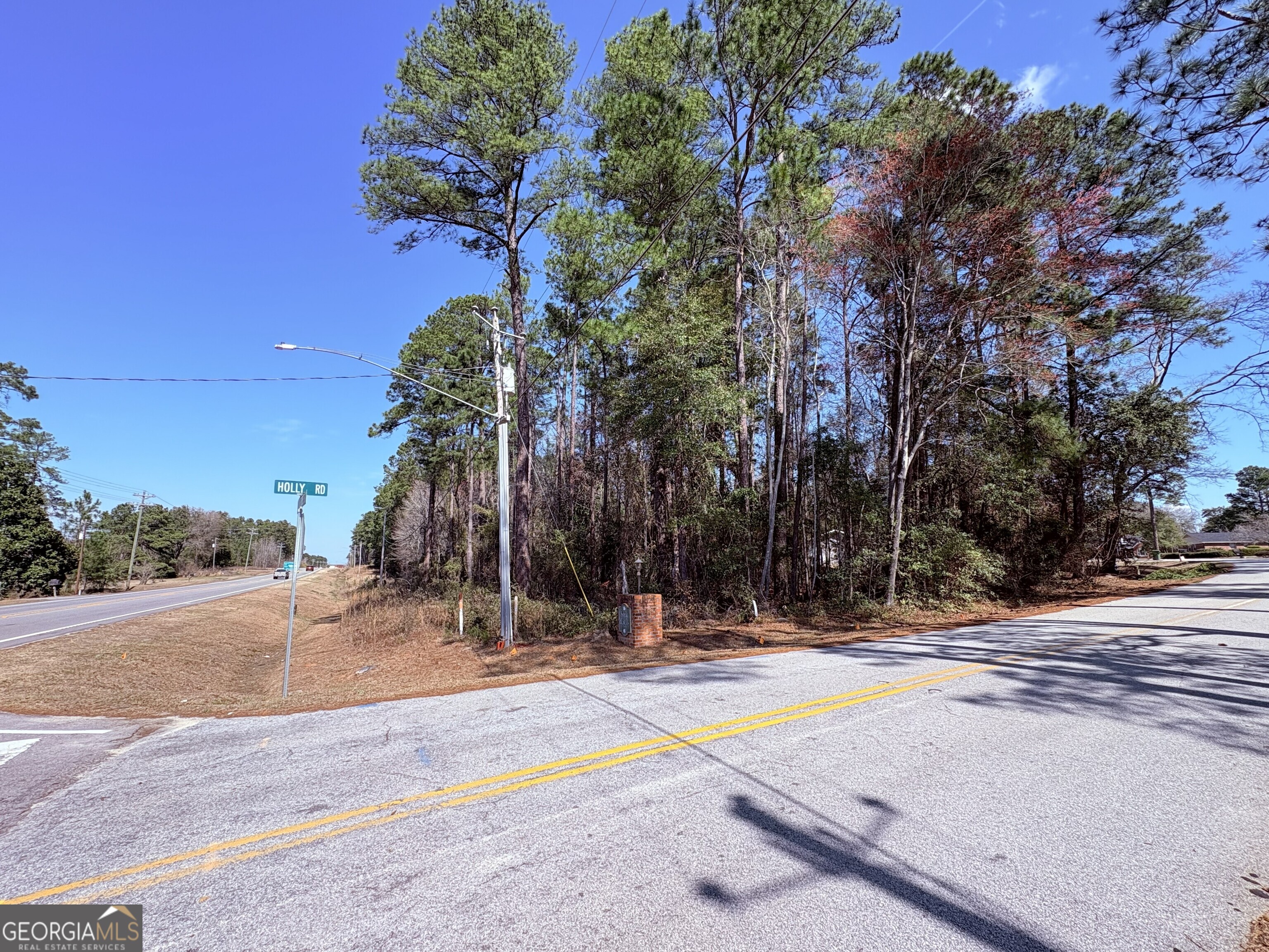 1 Holly Road Sylvania, GA 30467 - Photo 6 of 8