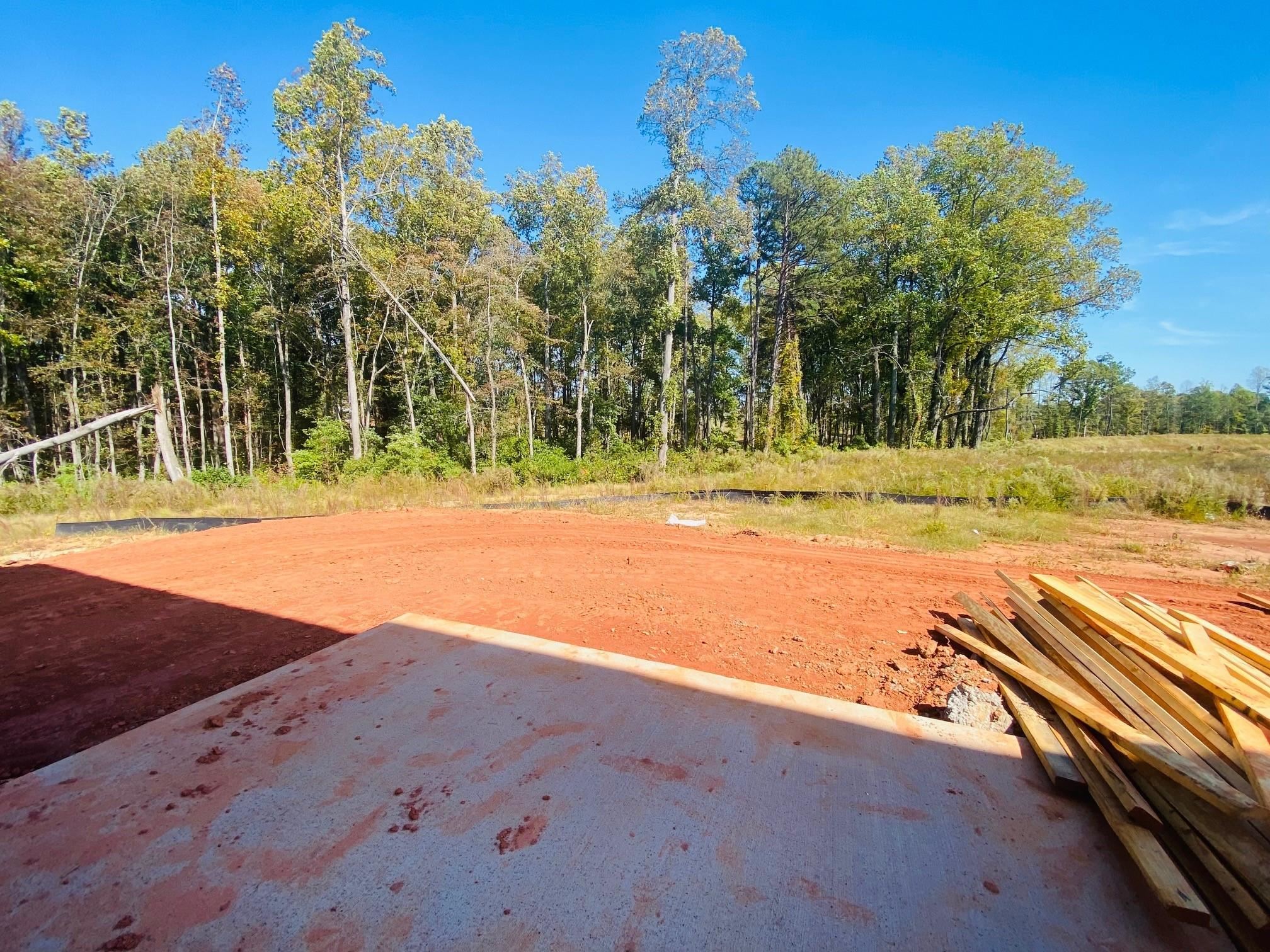 652 Morning Meadows Drive Inman, SC 29349 - Photo 14 of 17