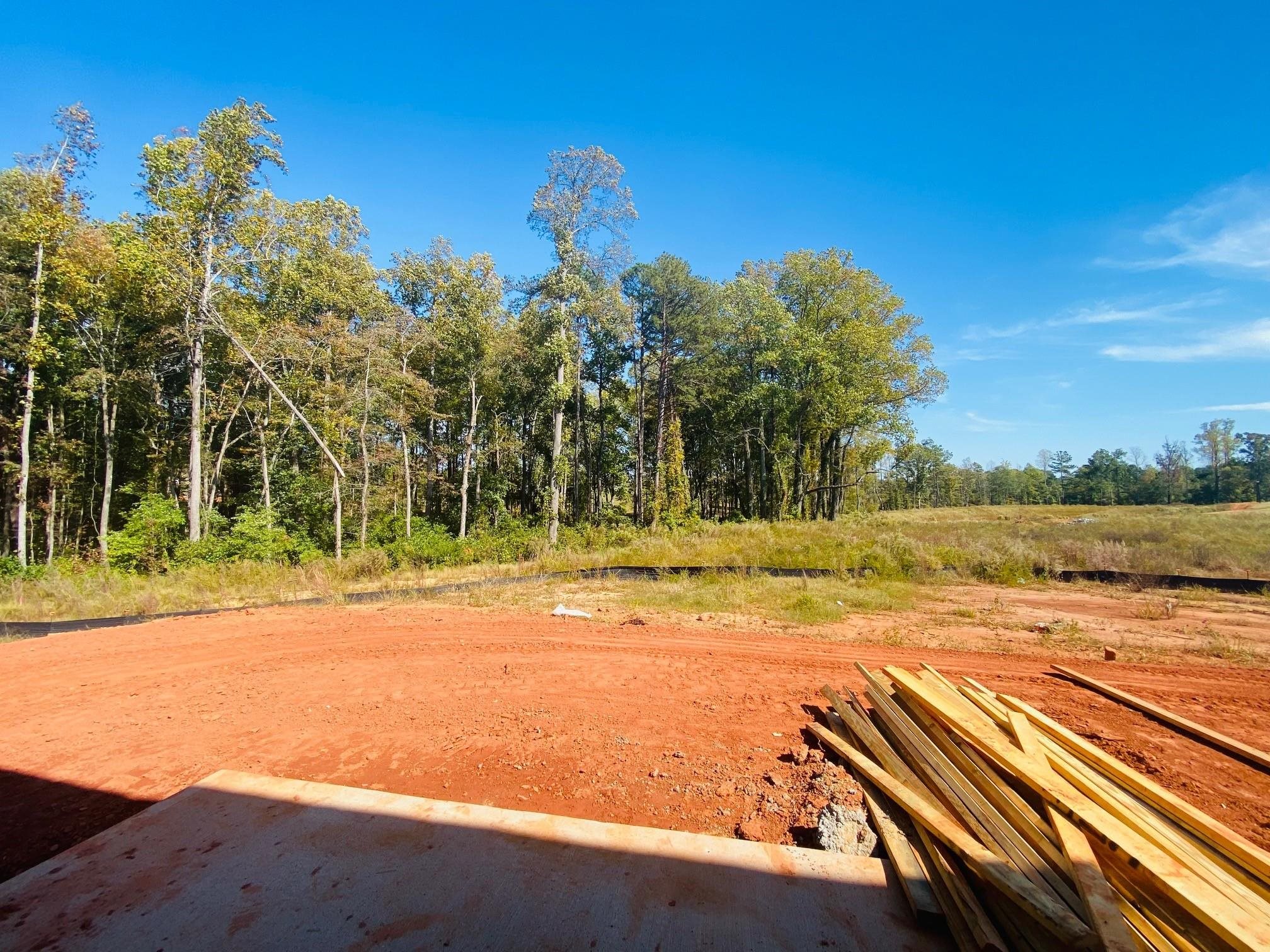 652 Morning Meadows Drive Inman, SC 29349 - Photo 15 of 17