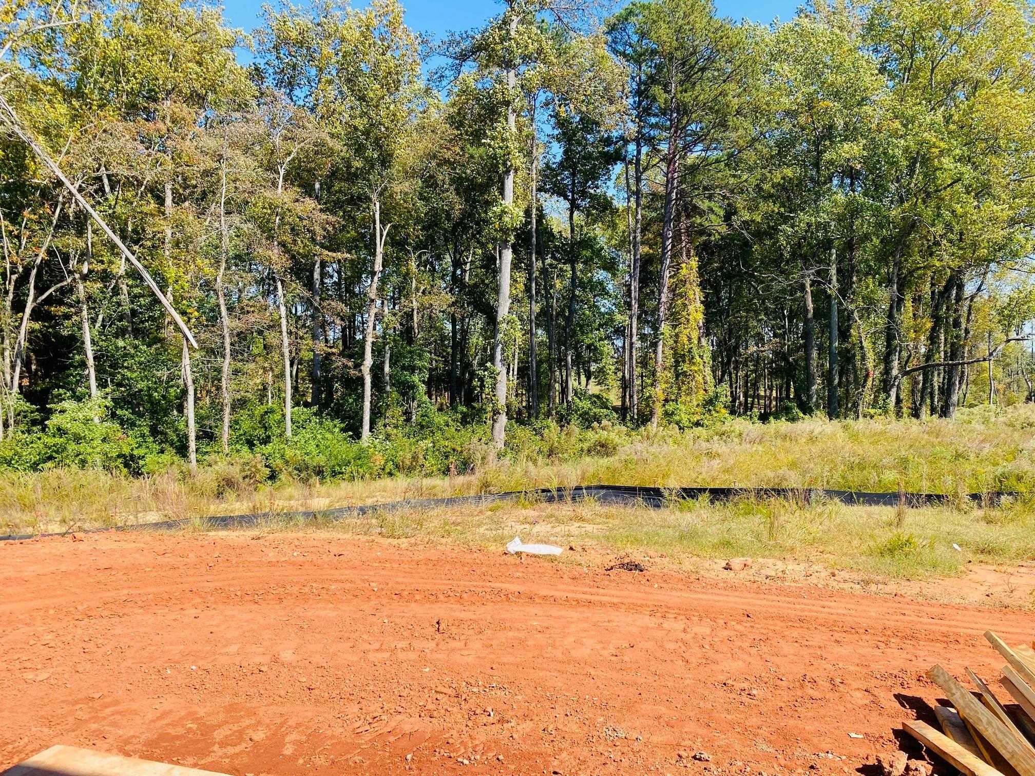 652 Morning Meadows Drive Inman, SC 29349 - Photo 16 of 17