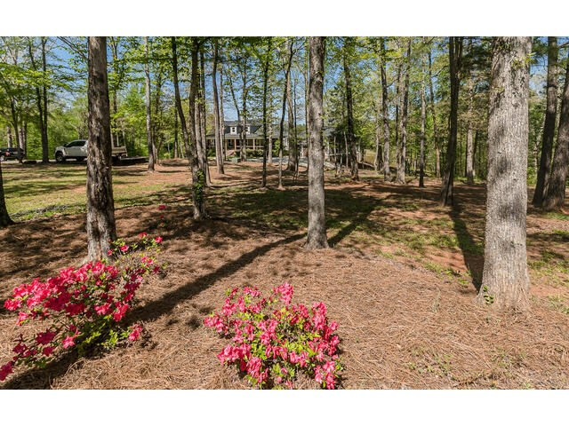 2573 Martintown Road Edgefield, SC 29824 - Photo 18 of 57