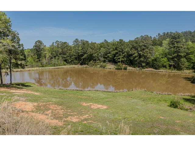 2573 Martintown Road Edgefield, SC 29824 - Photo 21 of 57