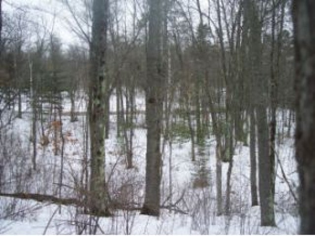 Lot 2 Shoreview Drive Rhinelander, WI 54501 - Photo 3 of 4 Gallery Image 3