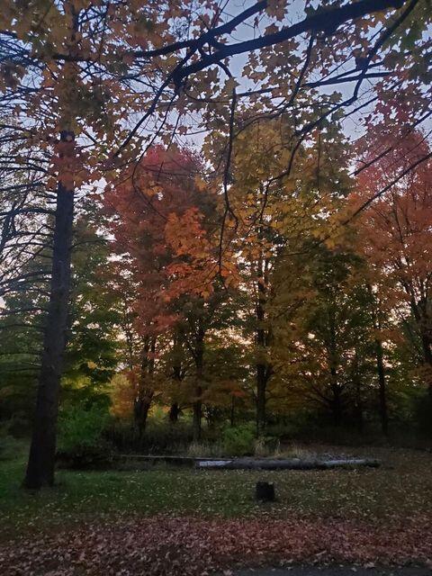 1362 West Liberty Road Clarklake, MI 49234 - Photo 21 of 30 21
