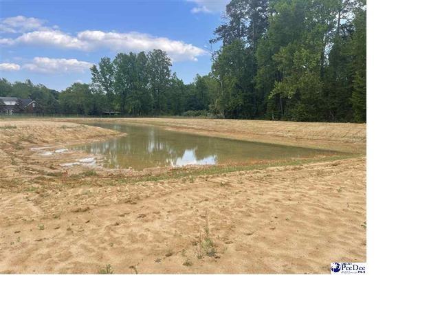 Tbd Devonshire Road Lake City, SC 29560 - Photo 1 of 1 Gallery Image 1