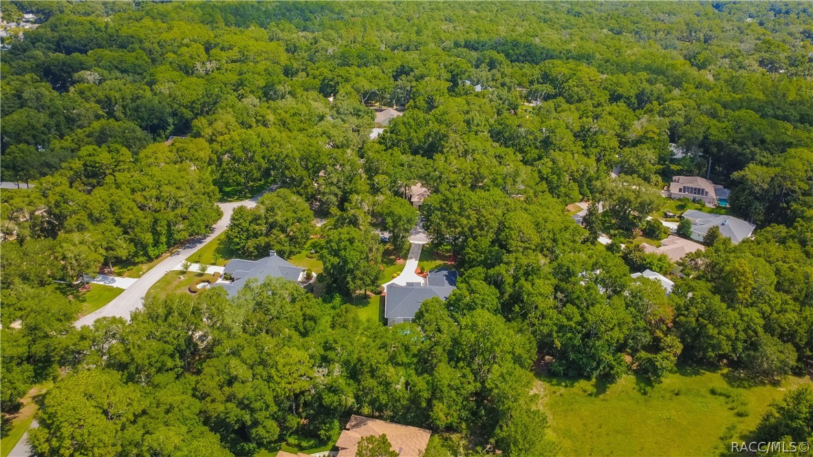 18976 Southwest 93rd Loop Dunnellon, FL 34432 - Photo 66 of 82
