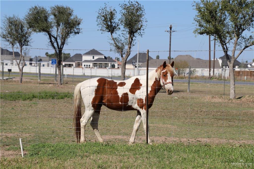 12431 Ware Road Edinburg, TX 78541 - Photo 9 of 37
