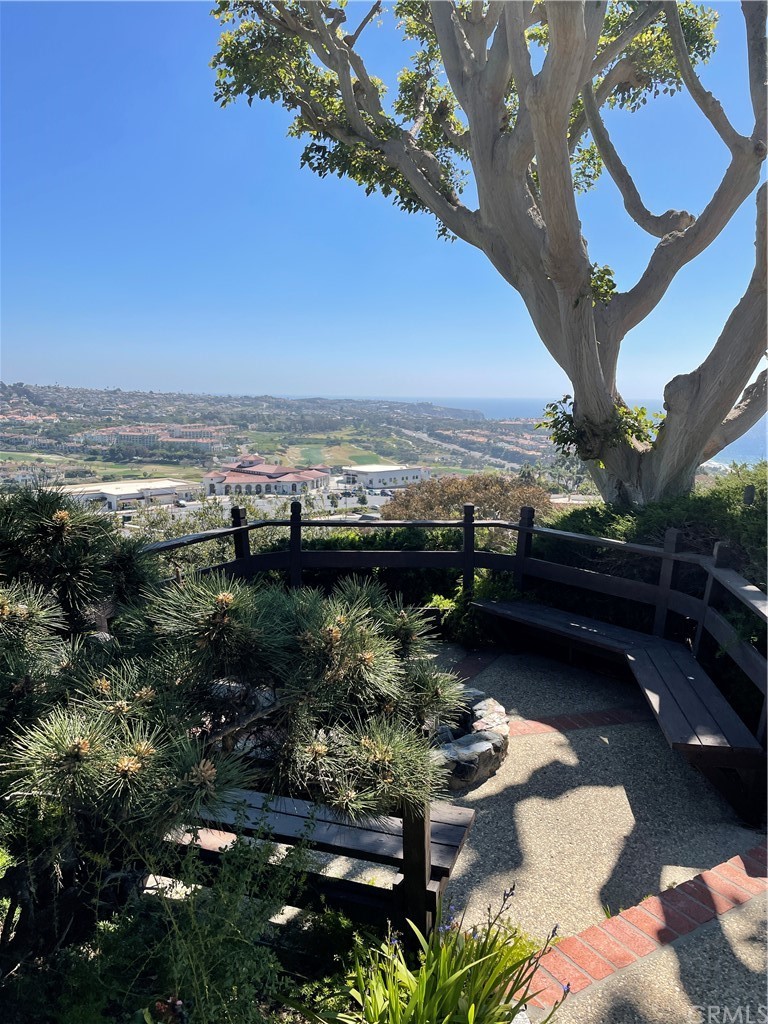 32592 Balearic Dana Point, CA 92629 - Photo 19 of 26 a view of lake with mountain