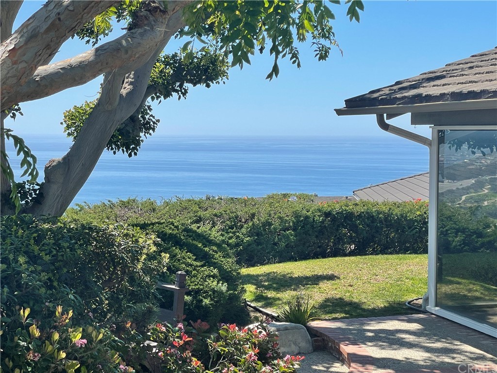 32592 Balearic Dana Point, CA 92629 - Photo 20 of 26 a view of a back yard of the house