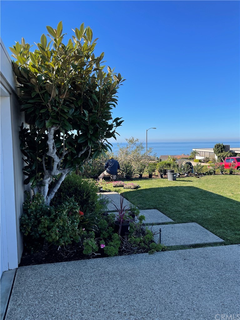 32592 Balearic Dana Point, CA 92629 - Photo 5 of 26 a view of a garden with a lot of plants and flowers
