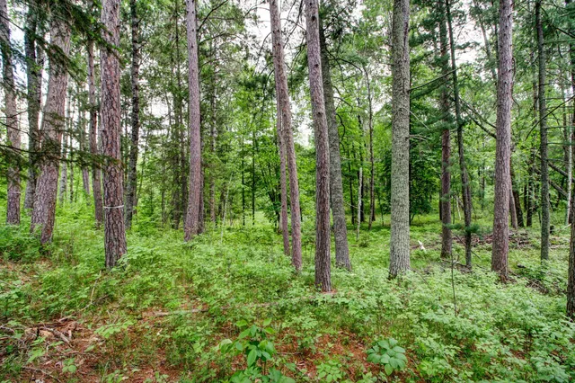 $1,150,000 | 26298 County 89, Park Rapids, MN 56470