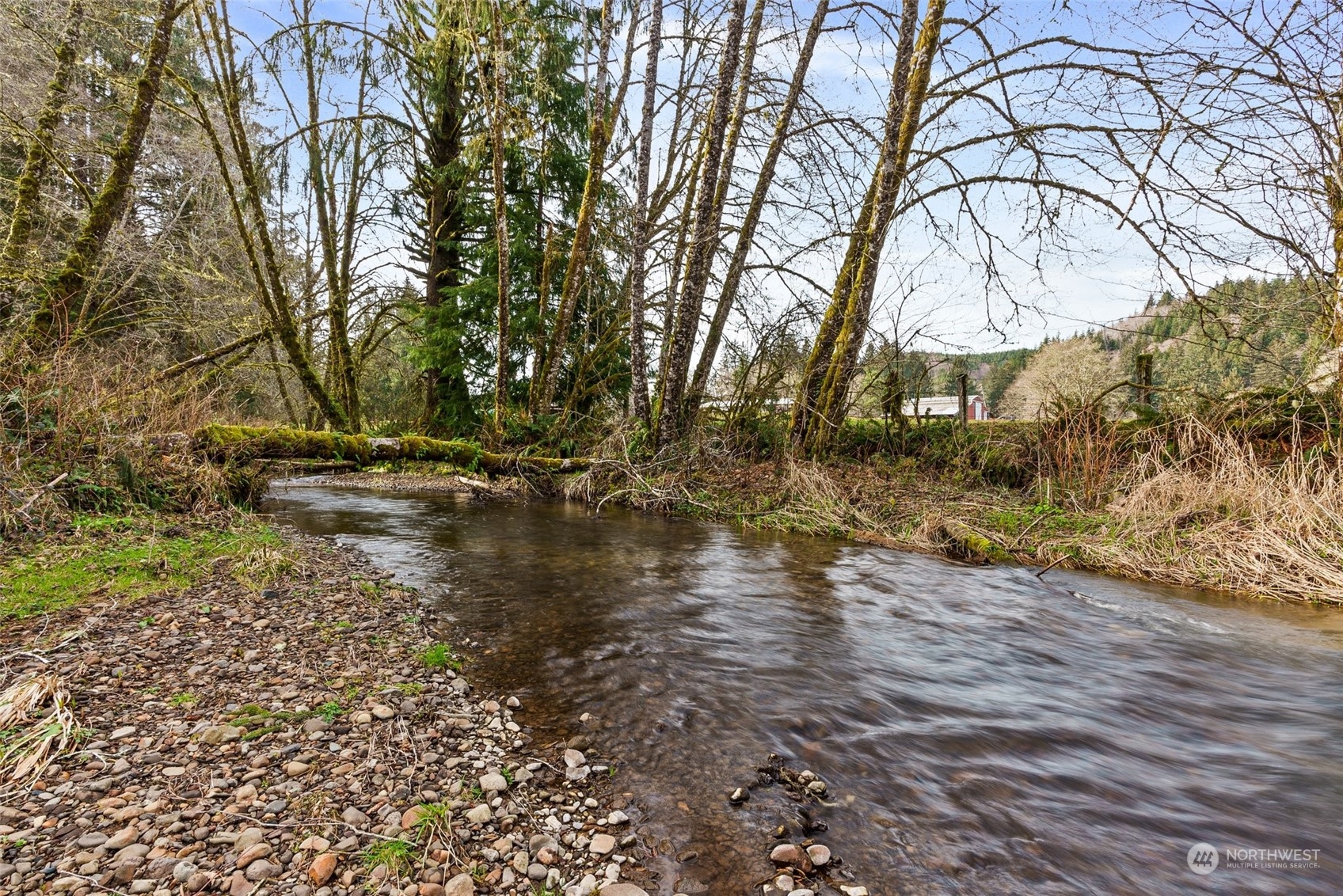 47 Zowadski Road Raymond, WA 98577 - Photo 37 of 40 a view of lake view with tree