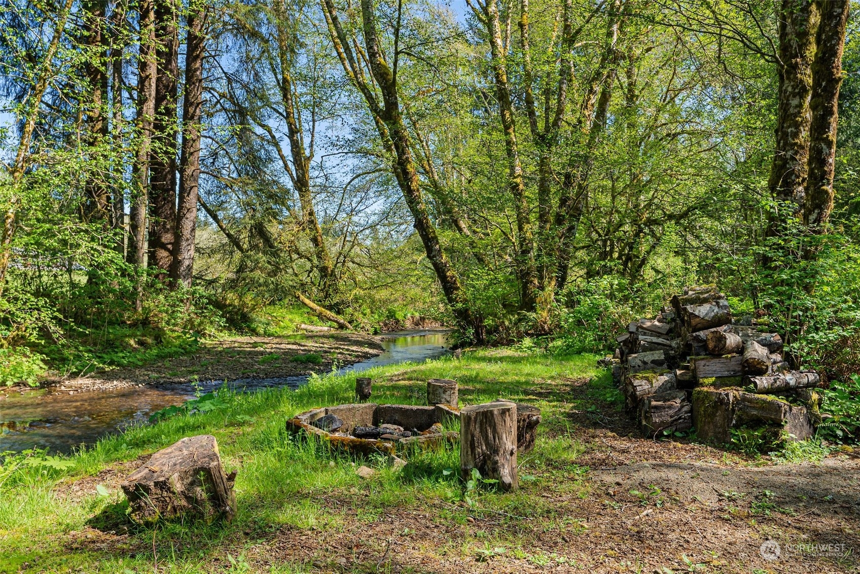 47 Zowadski Road Raymond, WA 98577 - Photo 40 of 40 a view of outdoor space yard and green space