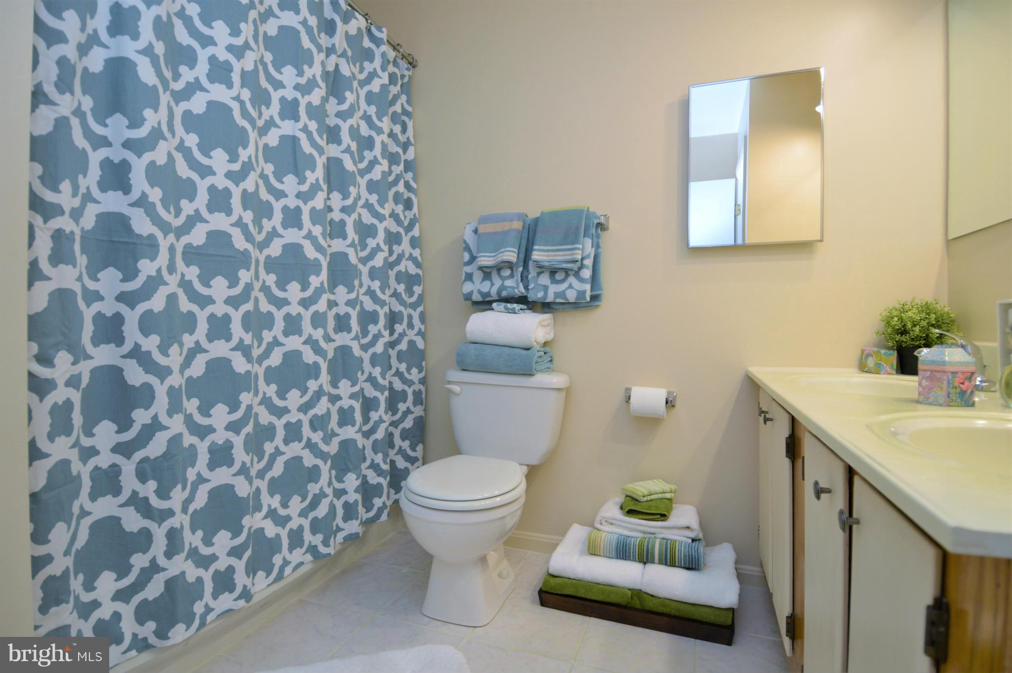 13145 Broadmore Road Silver Spring, MD 20904 - Photo 21 of 25 Bath