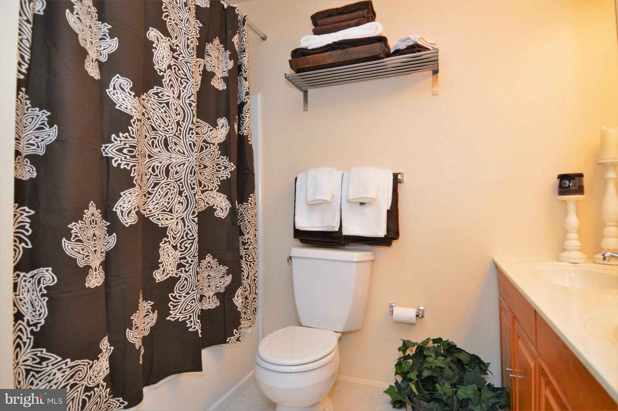 13145 Broadmore Road Silver Spring, MD 20904 - Photo 25 of 25 Bath (Master)