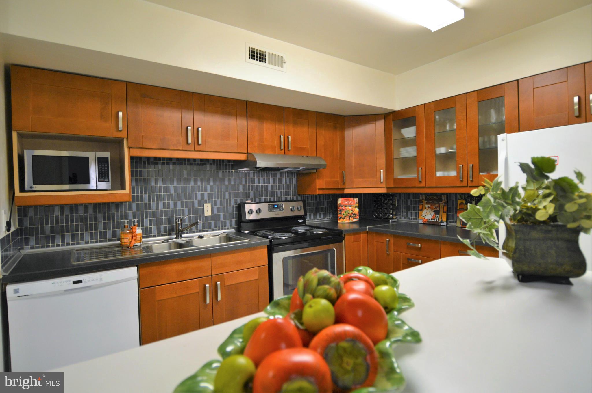 13145 Broadmore Road Silver Spring, MD 20904 - Photo 10 of 25 Kitchen