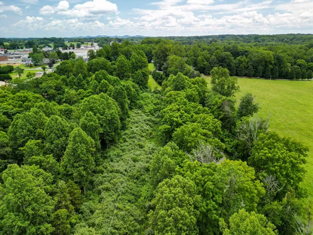 a view of a field of grass and trees