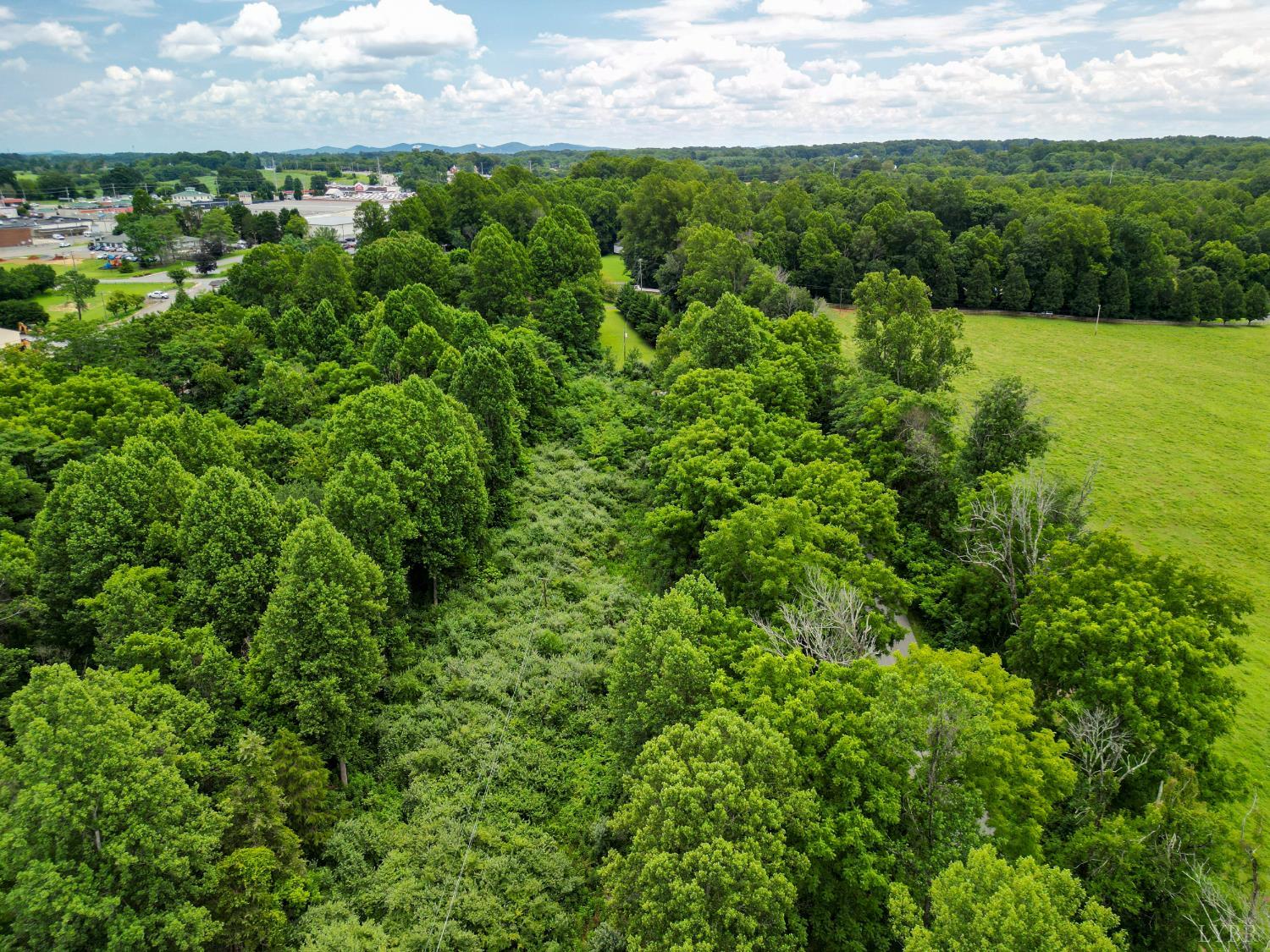 0 Elkton Farm Road Forest, VA 24551 - Photo 12 of 27 a view of a field of grass and trees
