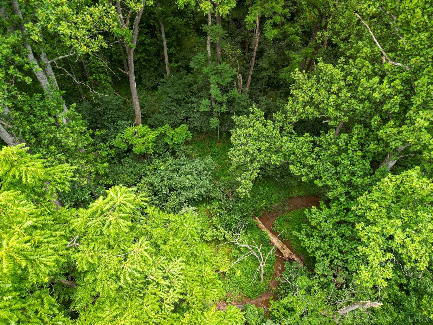 0 Elkton Farm Road Forest, VA 24551 - Photo 14 of 27 a backyard of a house with lots of green space