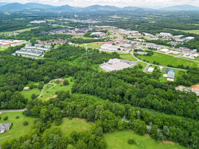 a view of a lush green field with lots of bushes