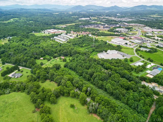 an aerial view of residential houses with outdoor space and trees