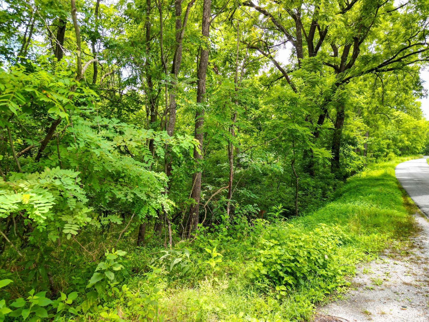 0 Elkton Farm Road Forest, VA 24551 - Photo 6 of 27 a view of a lush green forest