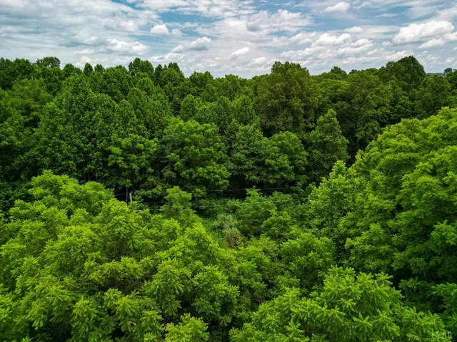 an aerial view of a houses with yard and green space