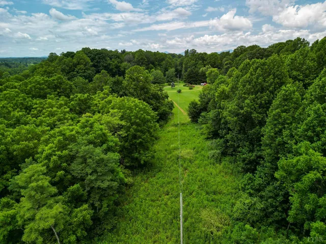 a view of a green field with lots of bushes