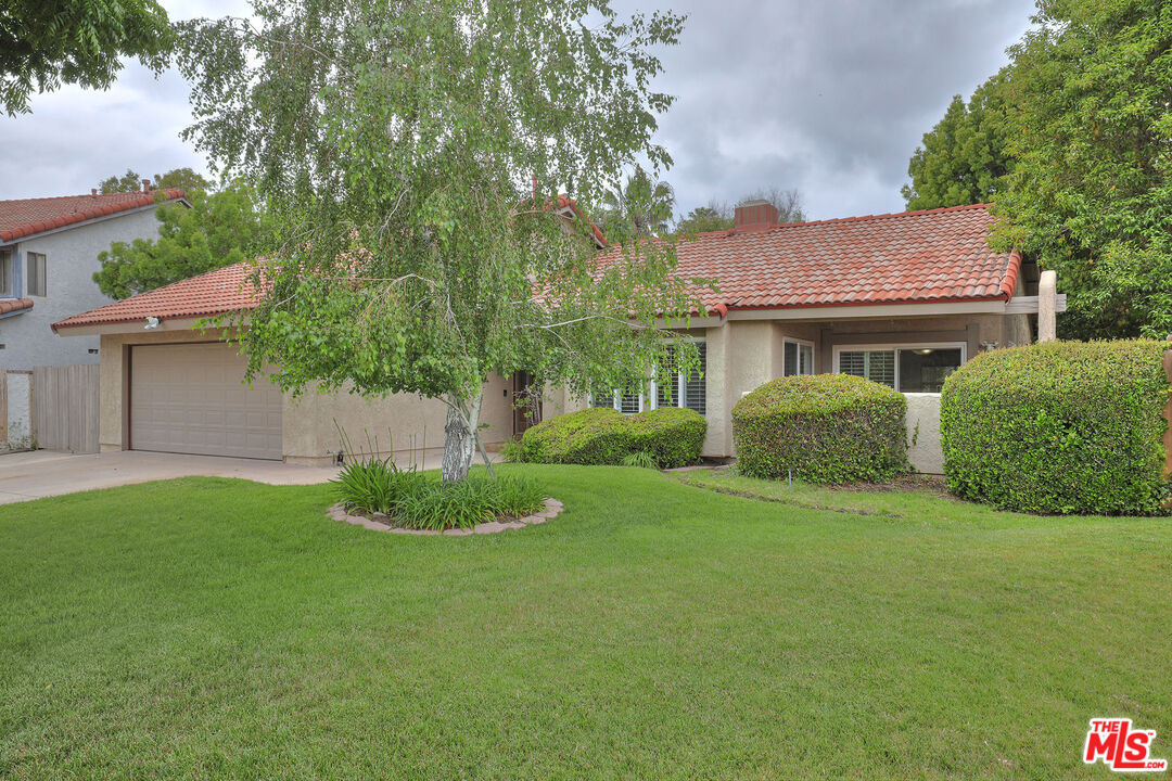 a house with a tree in front of it