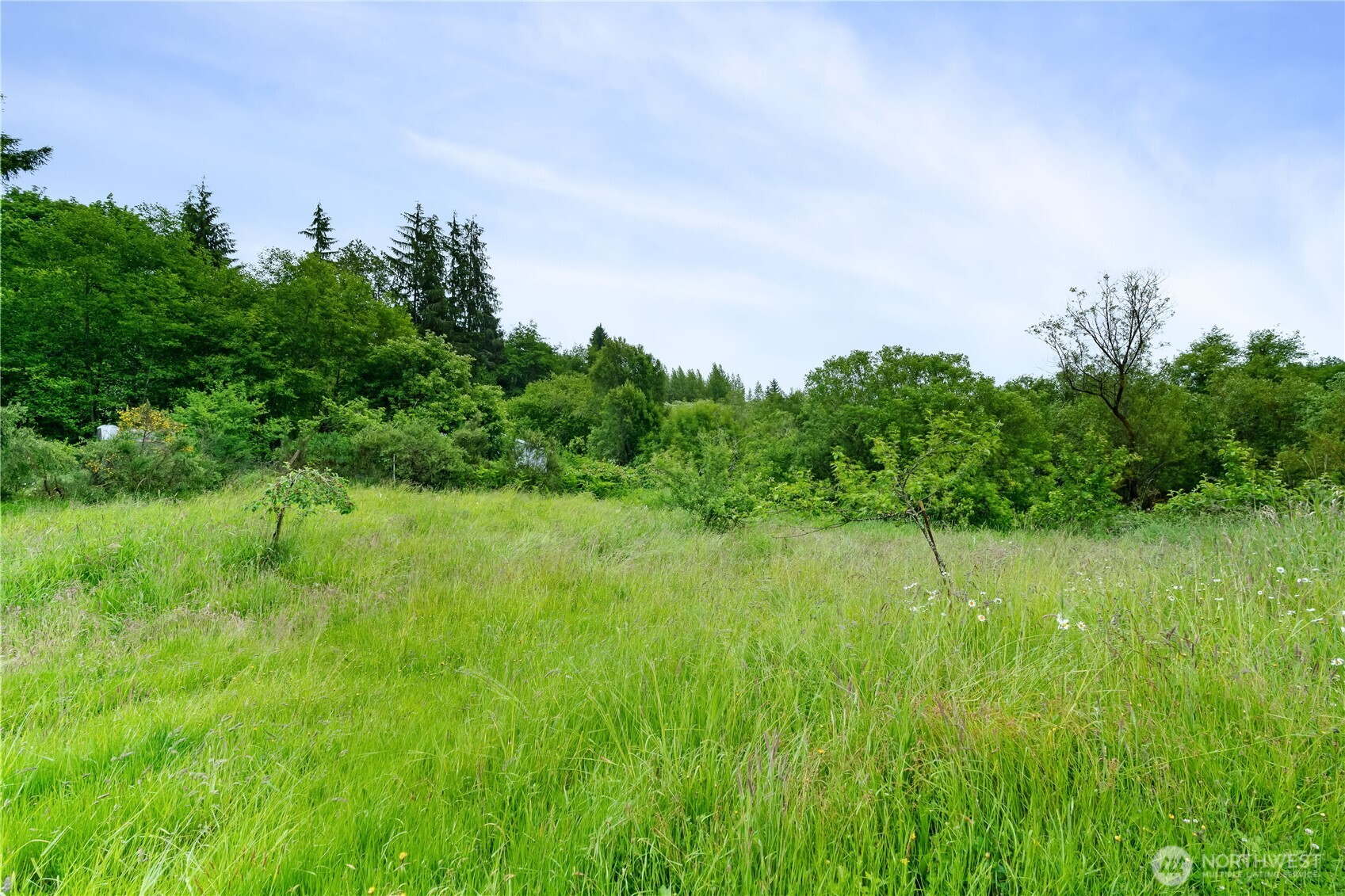 1904 North River Road Cosmopolis, WA 98537 - Photo 17 of 33