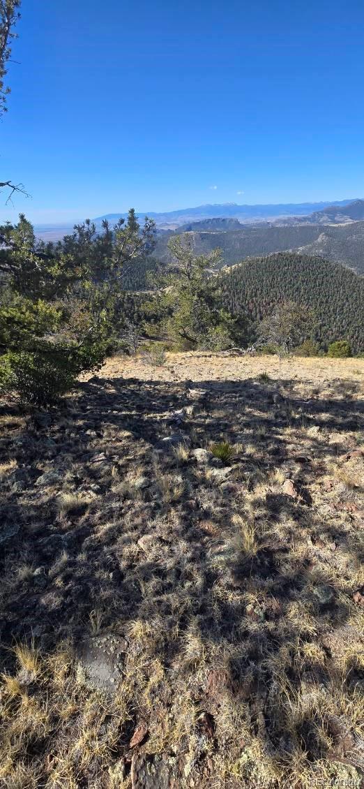 0 County Road East Del Norte, CO 81132 - Photo 8 of 10 Gallery Image 8