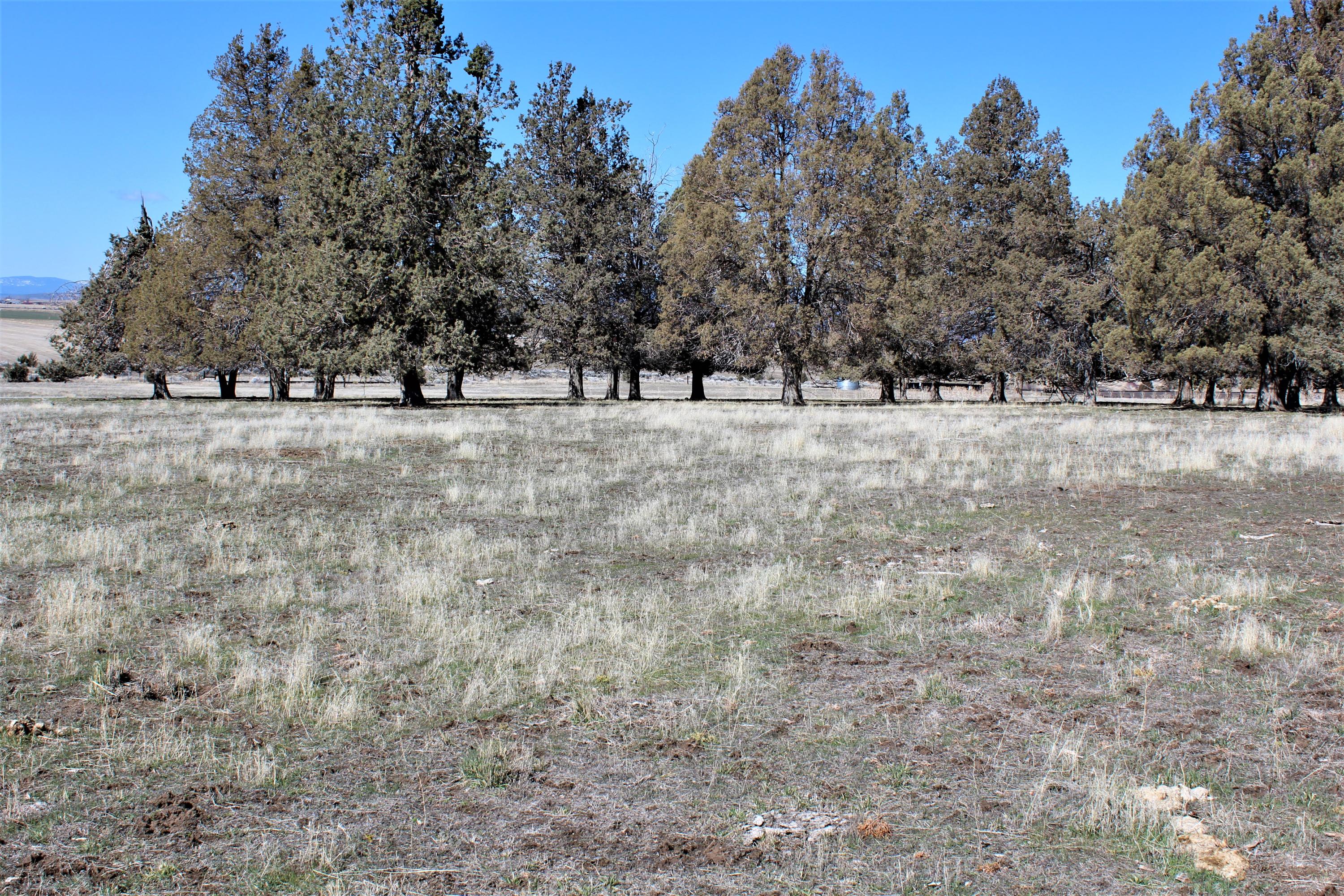 0 Hill Road Klamath Falls, OR 97603 - Photo 30 of 30 IMG_3629