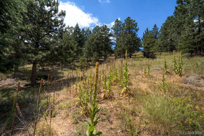 585 Pika Road Boulder, CO 80302 - Photo 32 of 34 Gallery Image 32