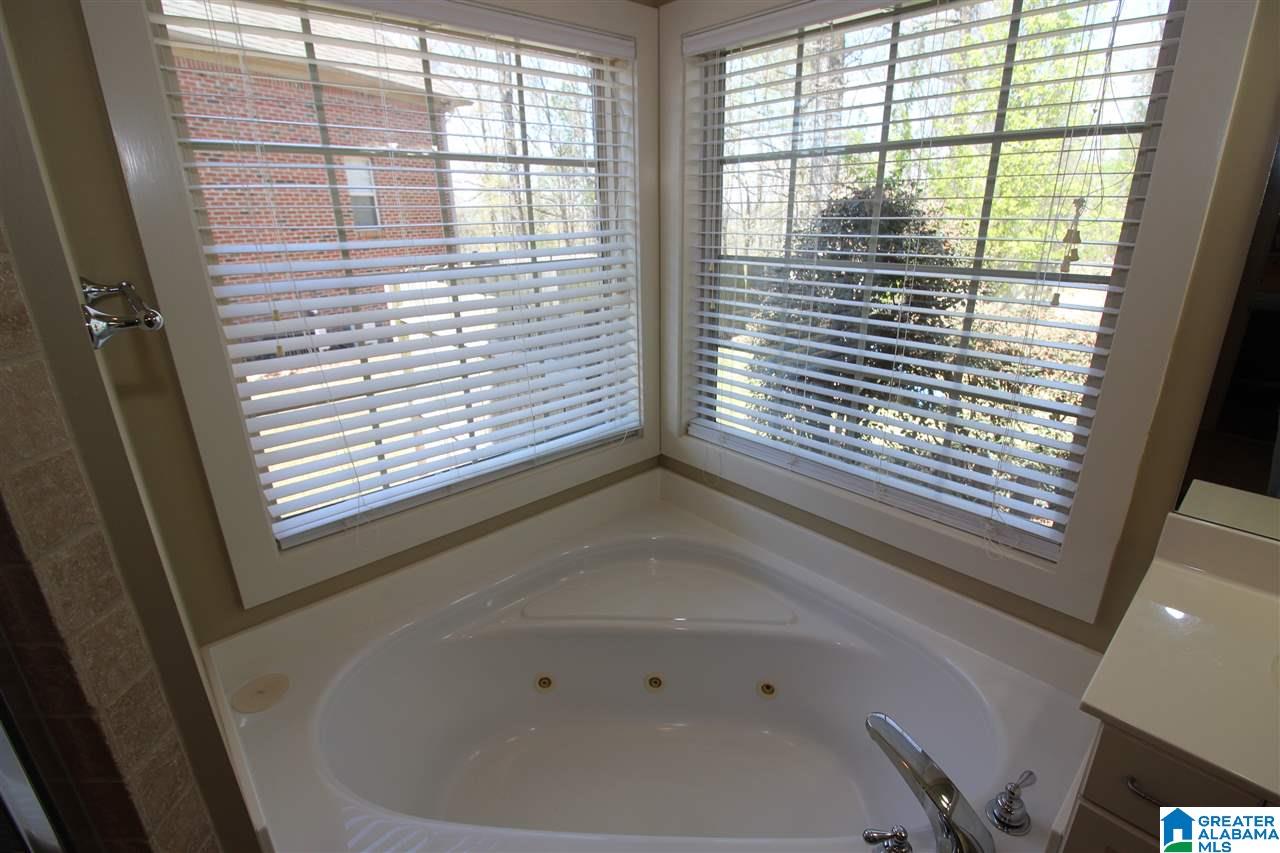 215 Mountain Lake Trail Alabaster, AL 35007 - Photo 15 of 48