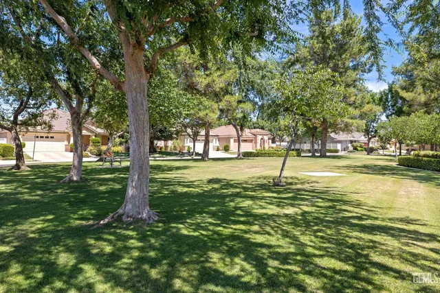 a view of a playground with a tree