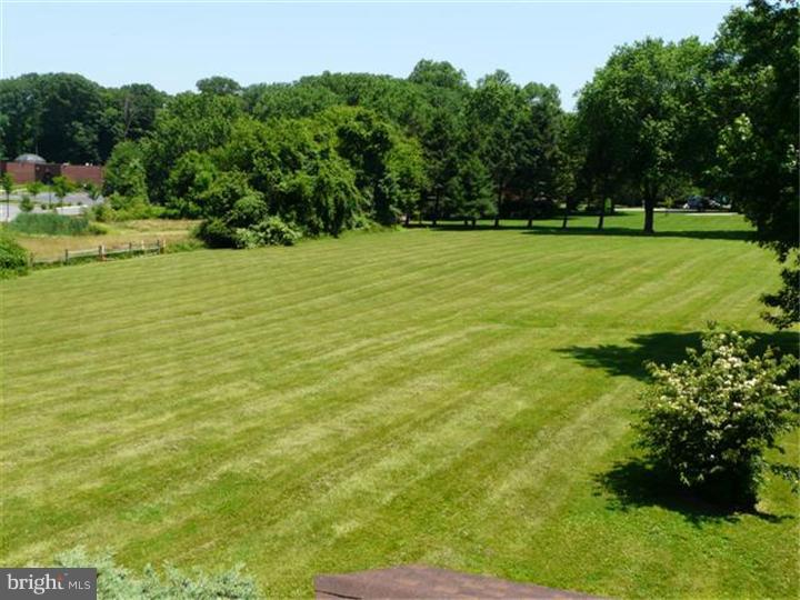565 Middletown Road Media, PA 19063 - Photo 19 of 25 Side Yard