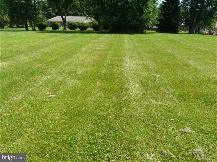 565 Middletown Road Media, PA 19063 - Photo 20 of 25 Back Yard