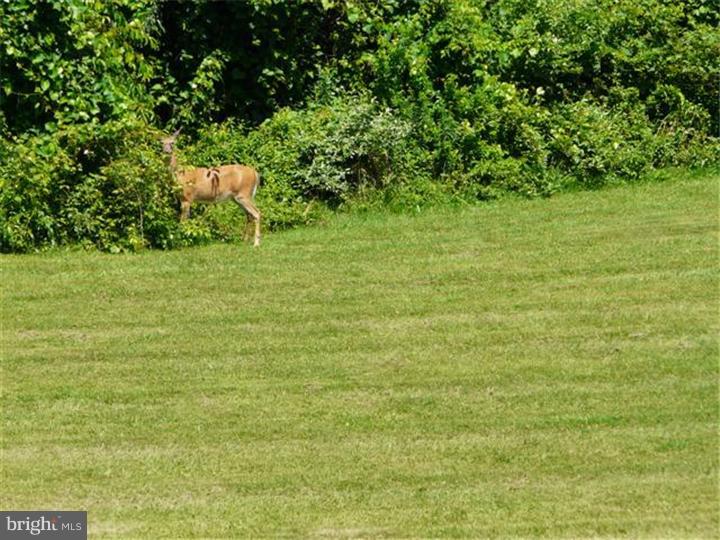 565 Middletown Road Media, PA 19063 - Photo 23 of 25 View
