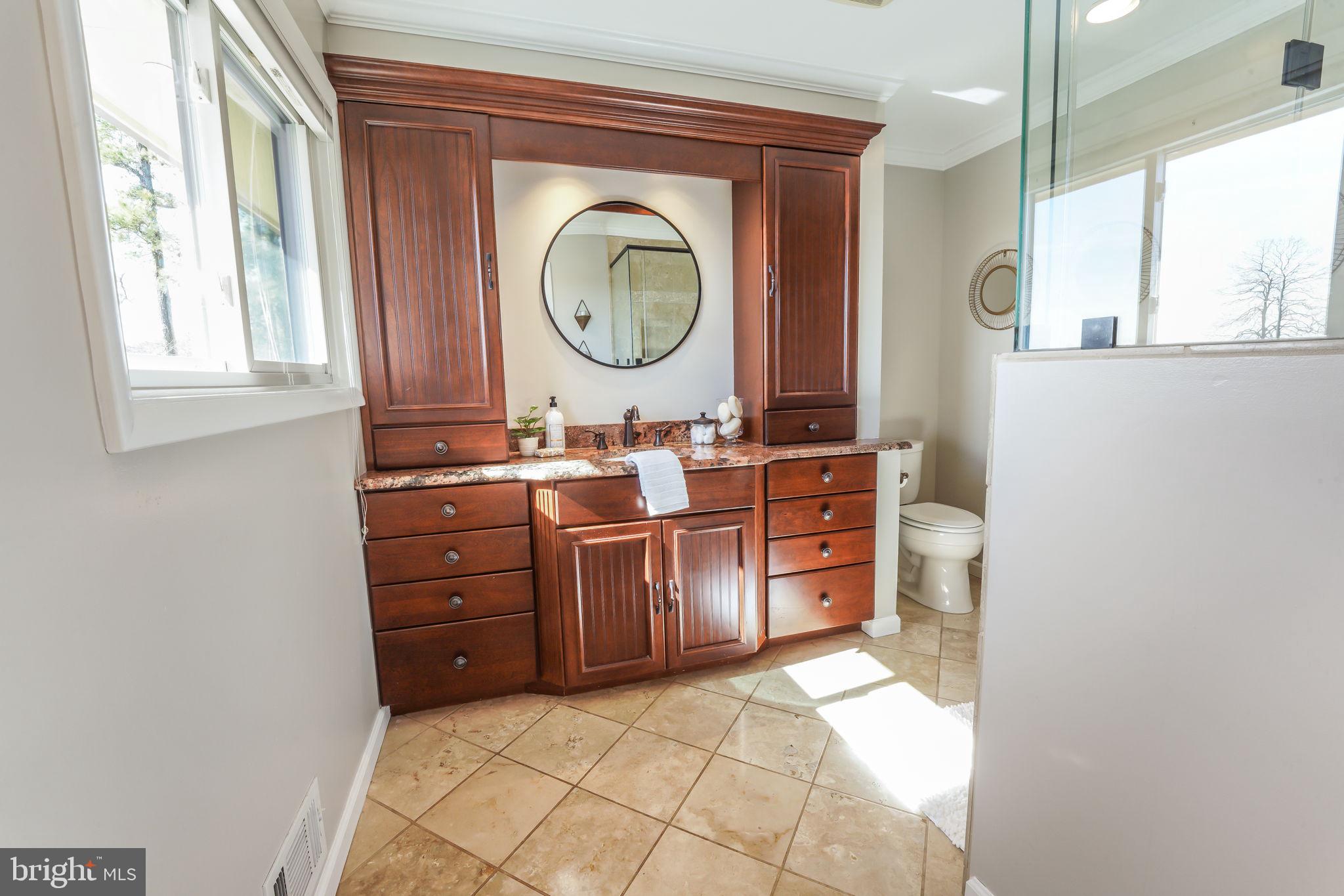 6239 Beverleys Mill Road Broad Run, VA 20137 - Photo 13 of 70 updated primary bath