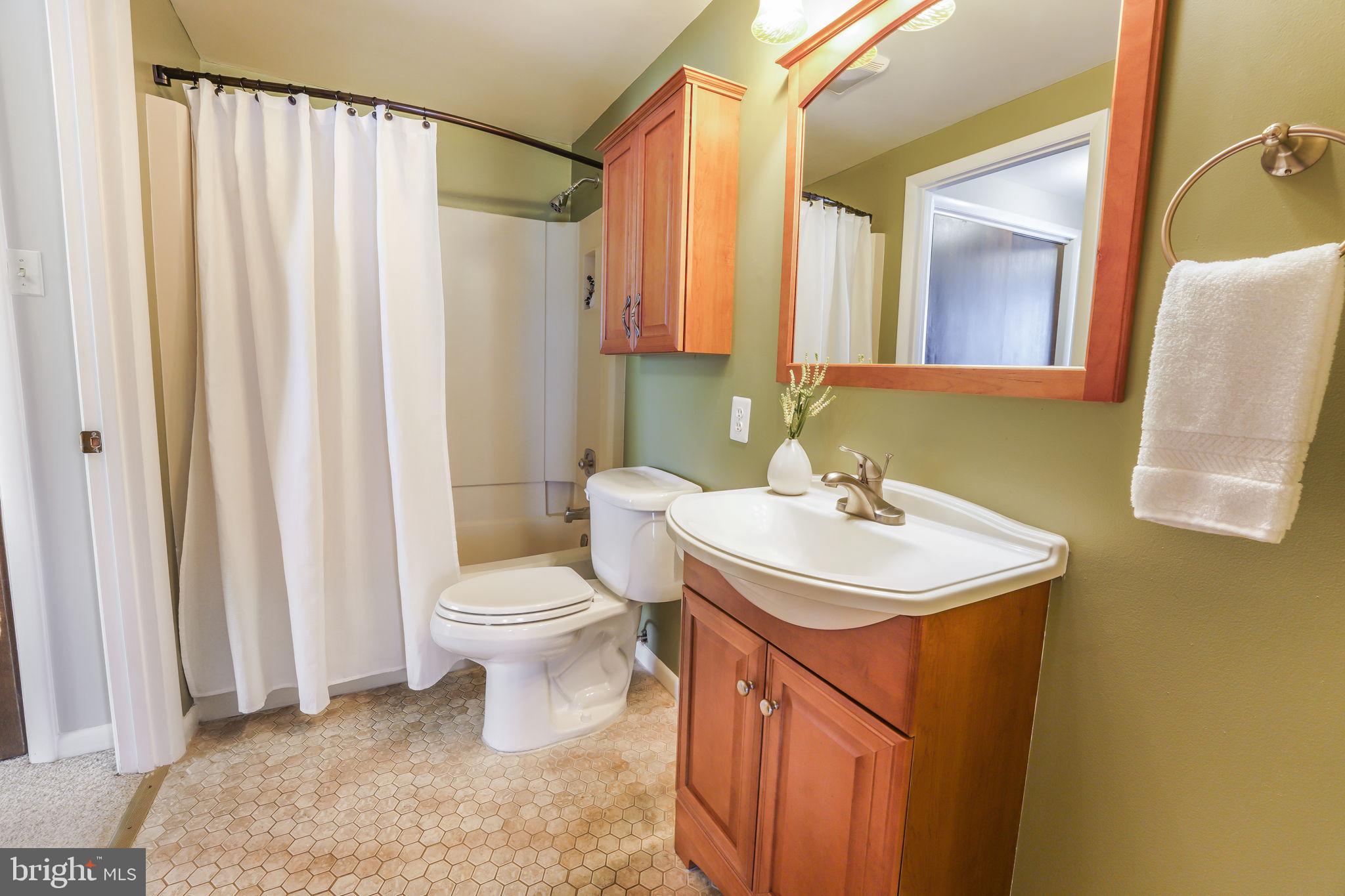 6239 Beverleys Mill Road Broad Run, VA 20137 - Photo 38 of 70 basement full bath