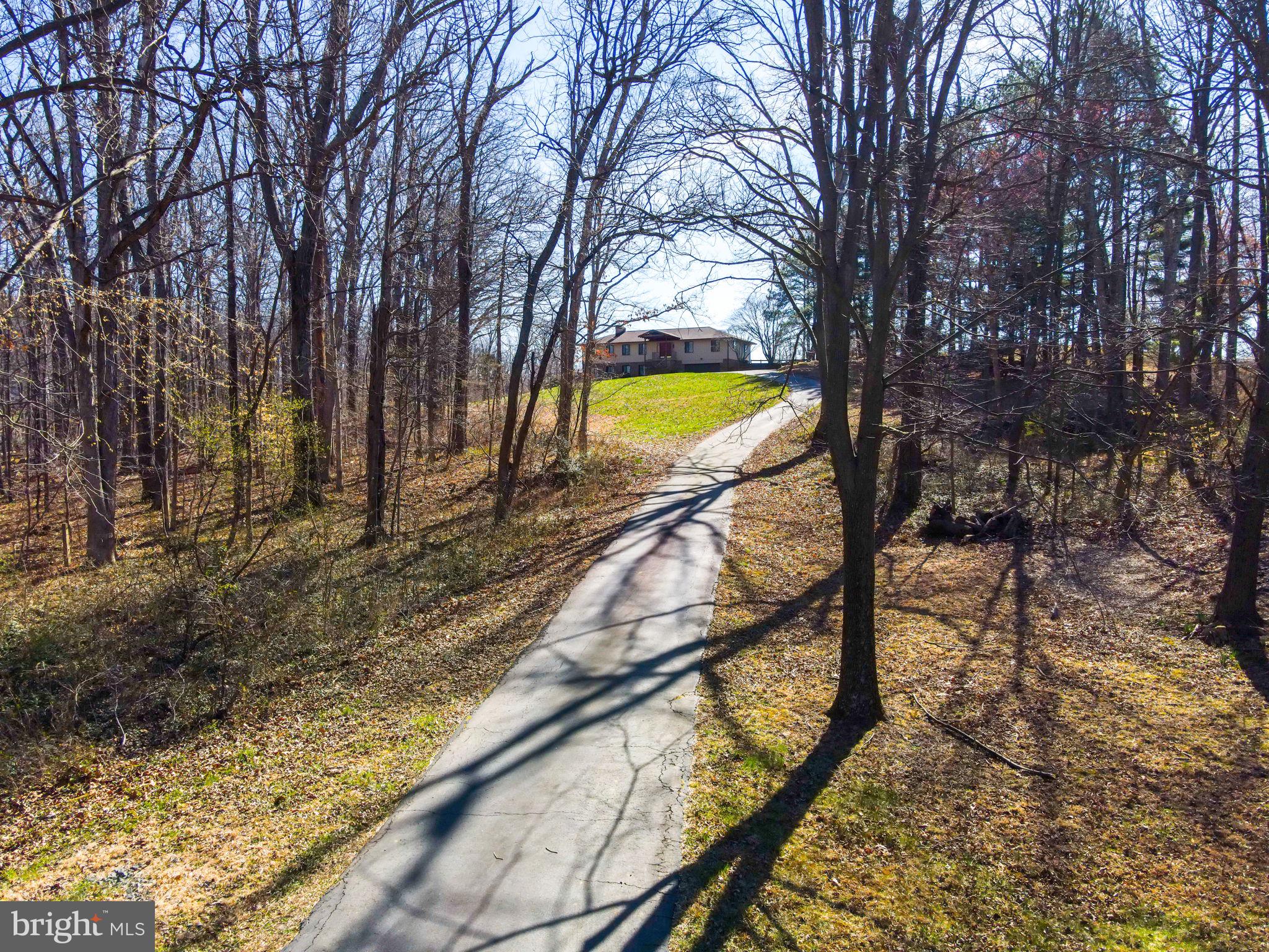 6239 Beverleys Mill Road Broad Run, VA 20137 - Photo 40 of 70 driveway