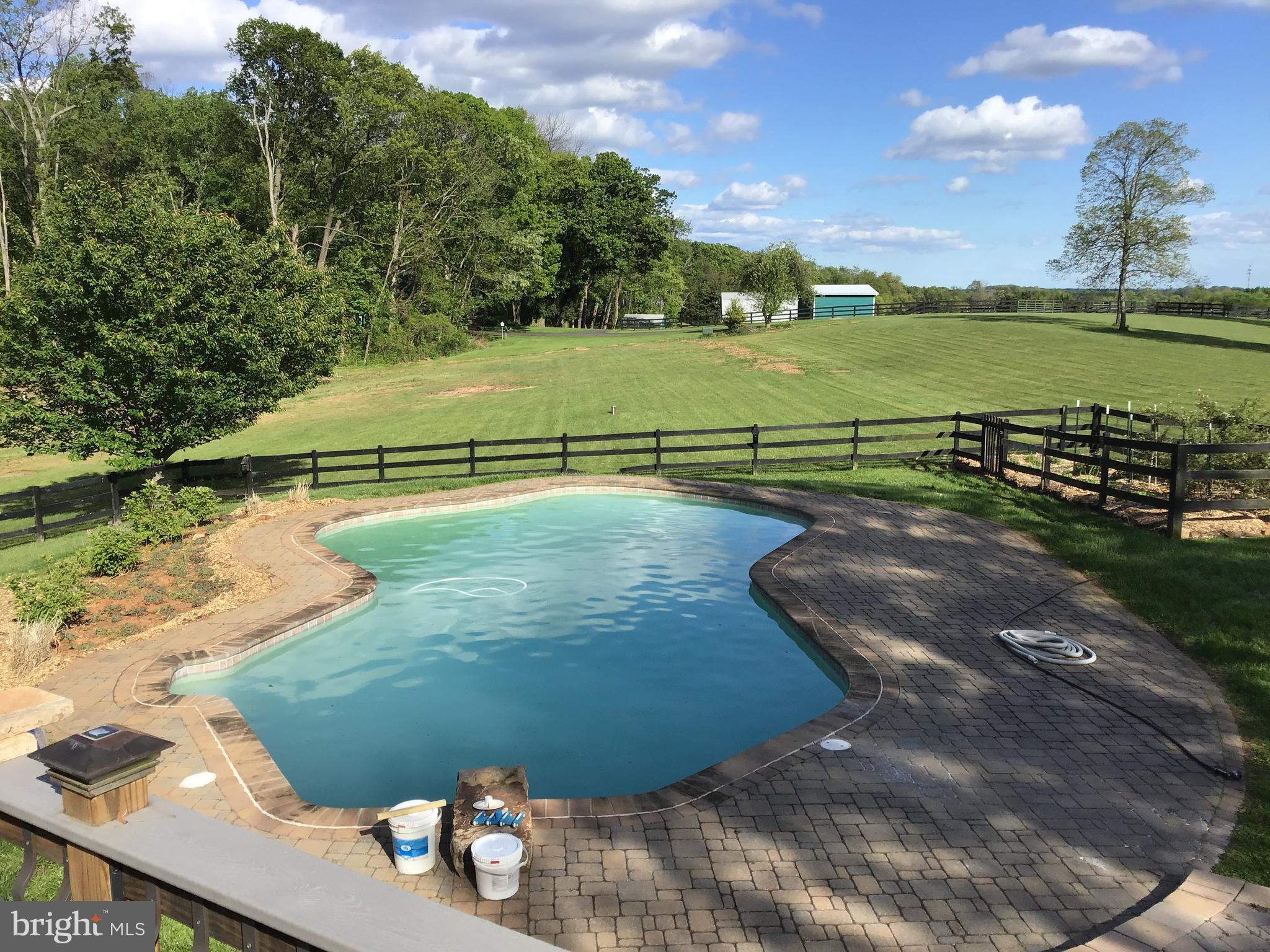 6239 Beverleys Mill Road Broad Run, VA 20137 - Photo 64 of 70 summertime pool views